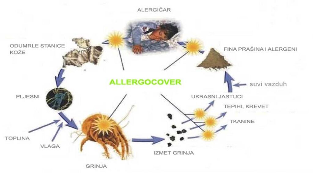 alergeni