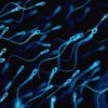 Uputstva za analizu sperme (spermogram)