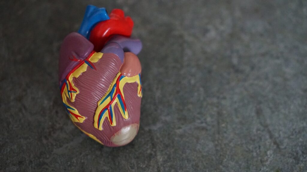 Važnost redovitih kardioloških pregleda bolesnika sa arterijskom hipertenzijom kod kardiologa
