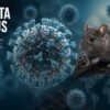 Hantavirus
