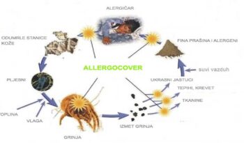 alergeni